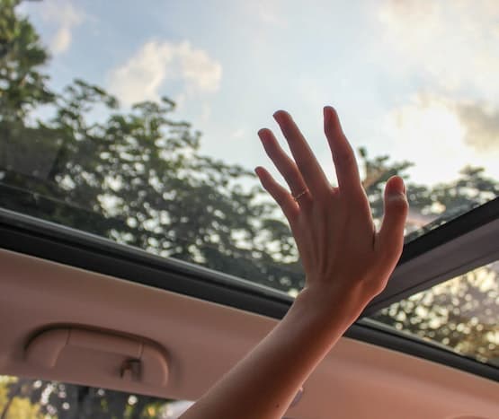 Sunroof Koruma